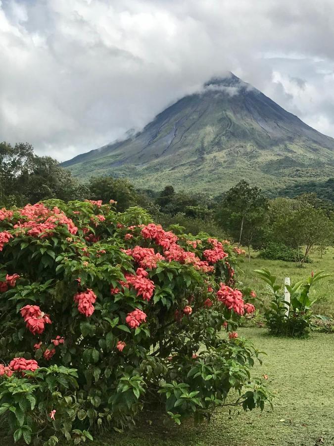 Arenal Roca Suites La Fortuna Bagian luar foto