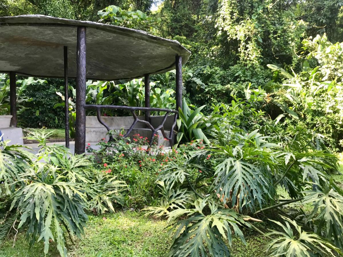 Arenal Roca Suites La Fortuna Bagian luar foto