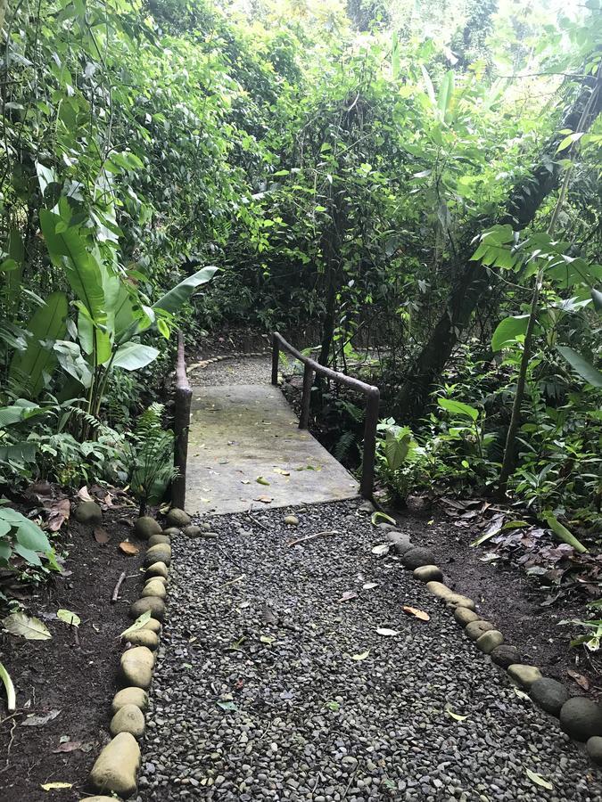 Arenal Roca Suites La Fortuna Bagian luar foto